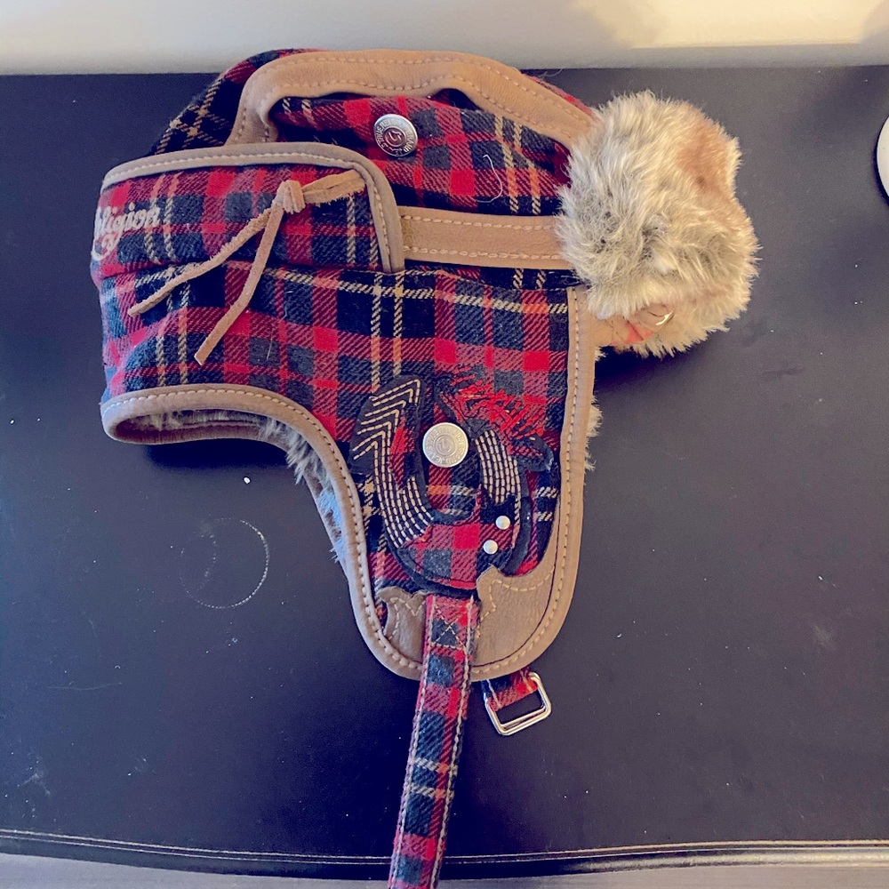 True Religion trapper winter hat